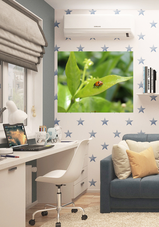 A ladybug's Life Photo Paper Poster