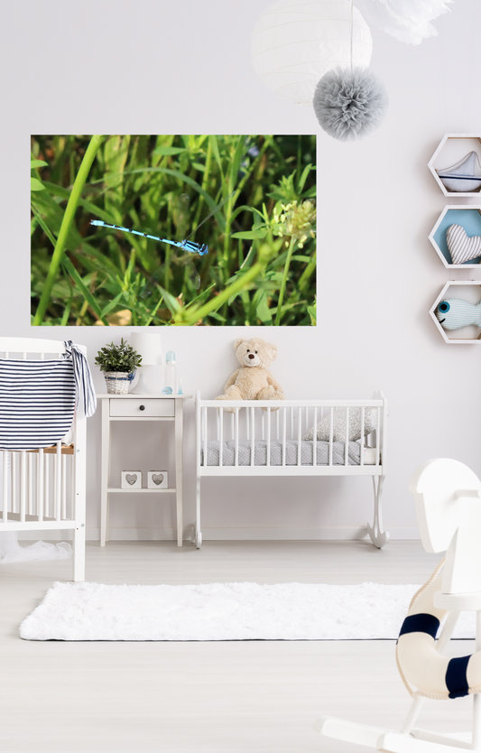 Baby Blue Photo Paper Poster