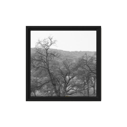Lámina enmarcada Vista de la ladera en blanco y negro