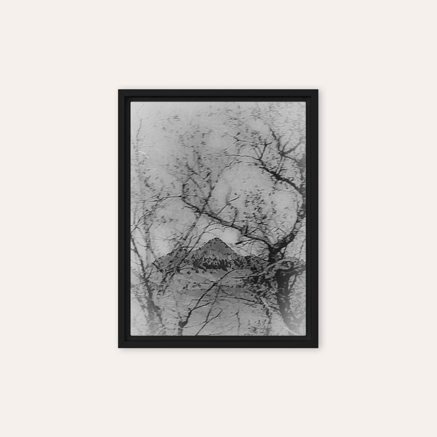 Buttes Between The Trees B&W Framed Print