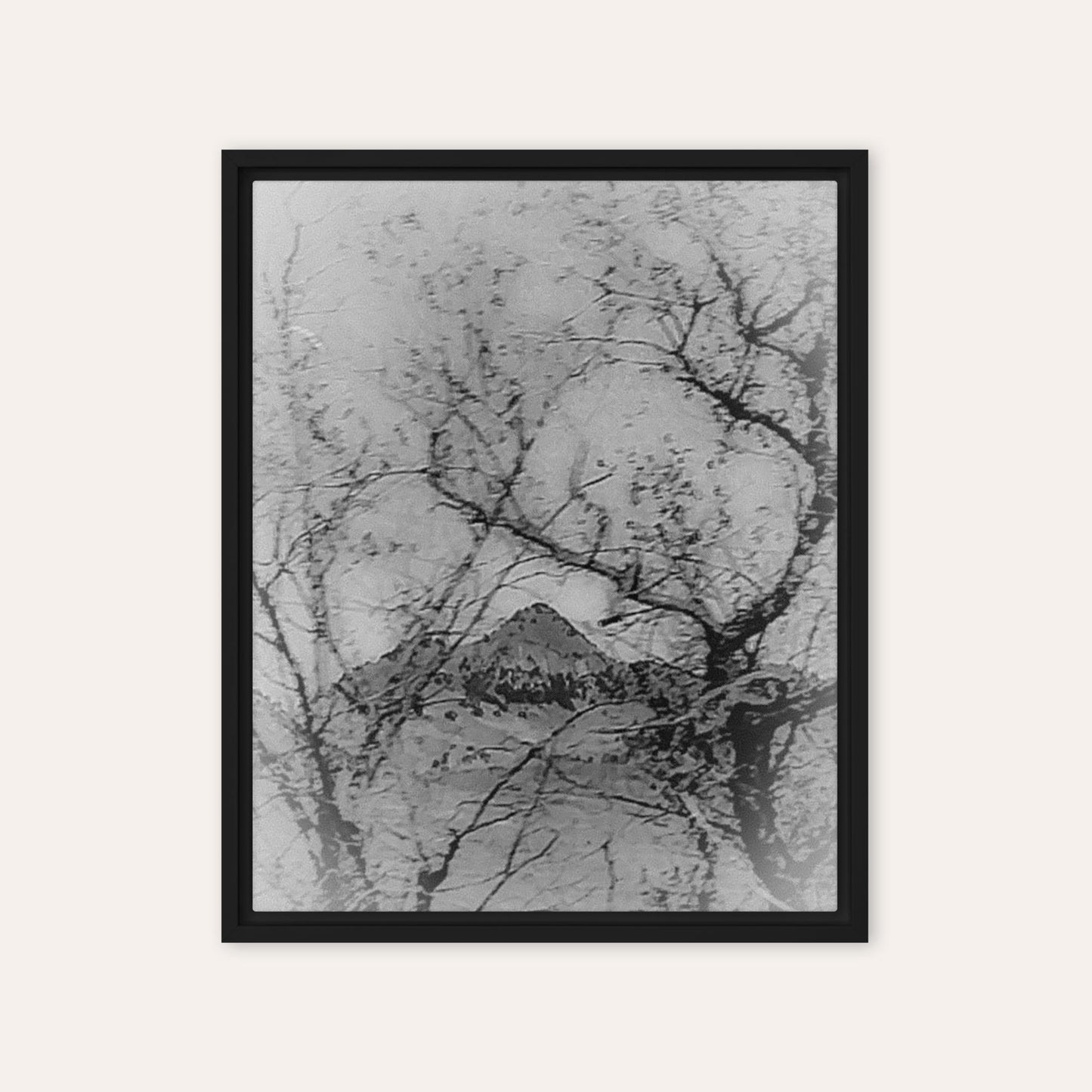 Buttes Between The Trees B&W Framed Print