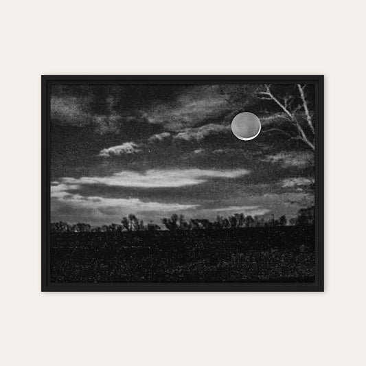 Night Sky Framed Print