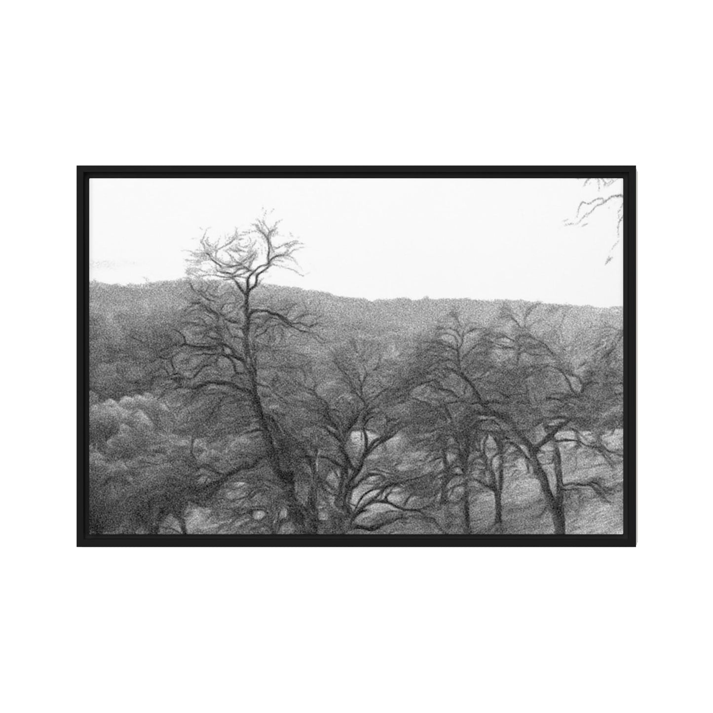 Hillside View B&W Framed Print
