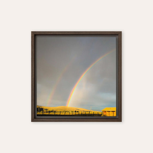 Double Rainbow Framed Print