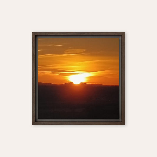 Sun Comes Up Framed Print