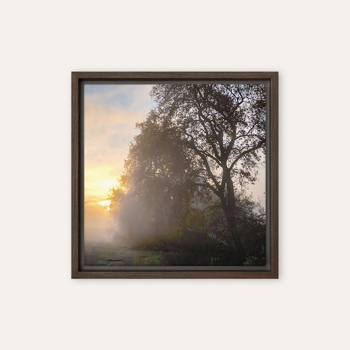 The Rising Sun Framed Print