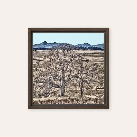 Buttes Behide The Trees Framed Print