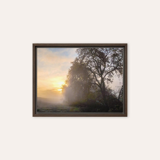 The Rising Sun Framed Print