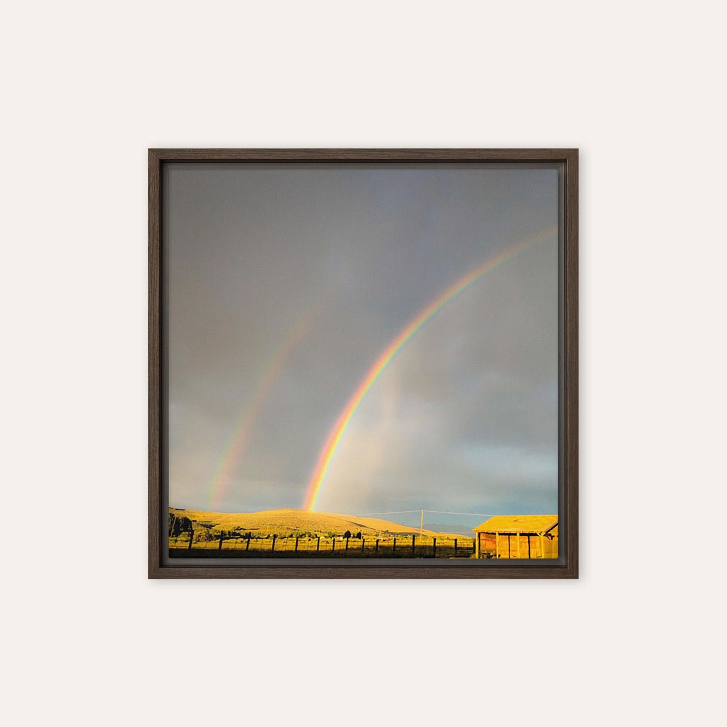 Double Rainbow Framed Print