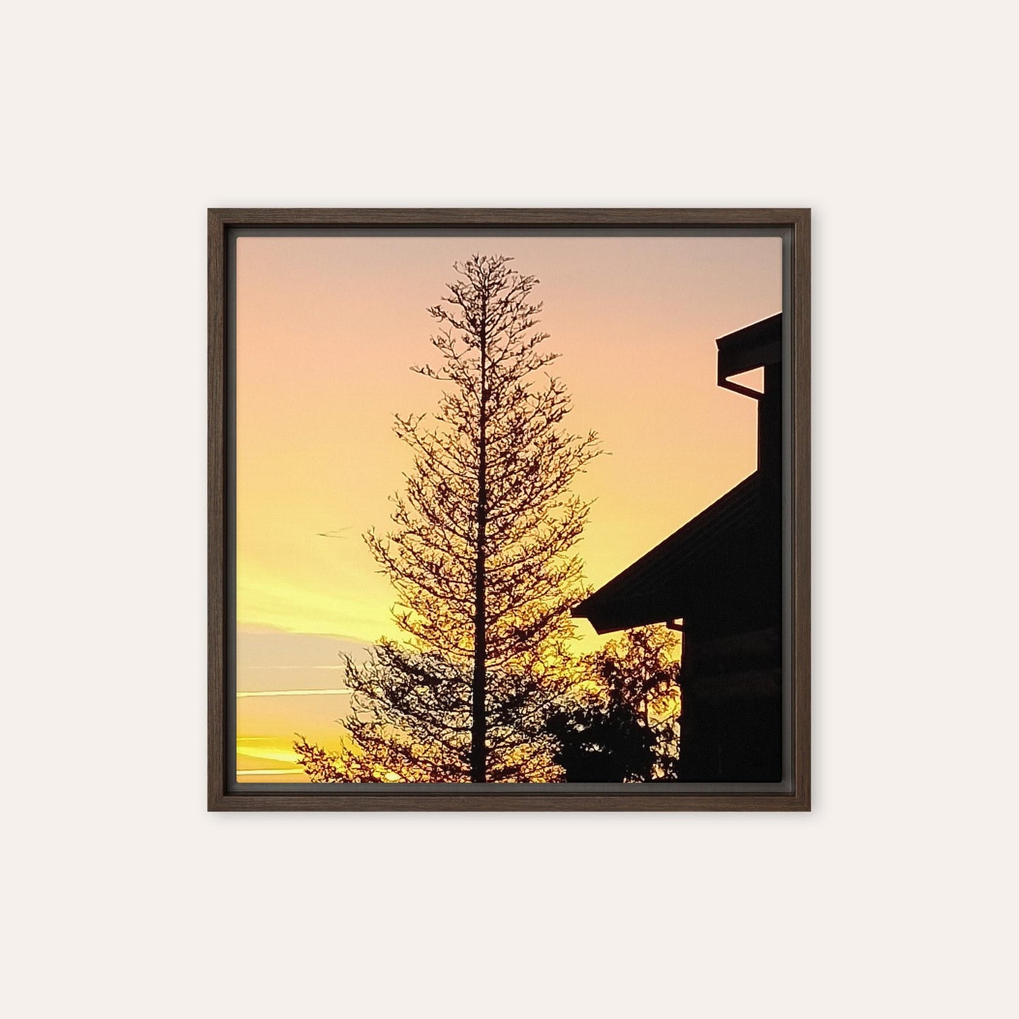 Big Pine Framed Print