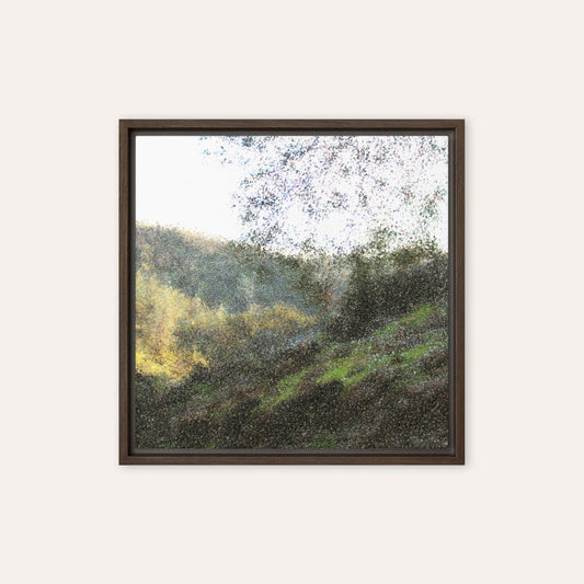Grass on The Hill Framed Print
