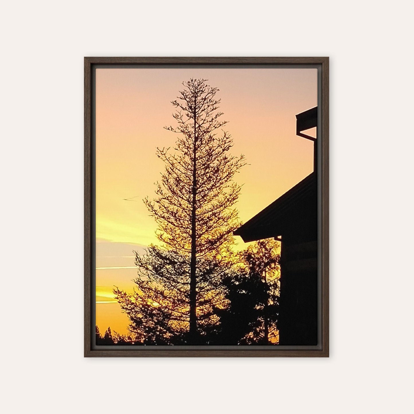 Big Pine Framed Print
