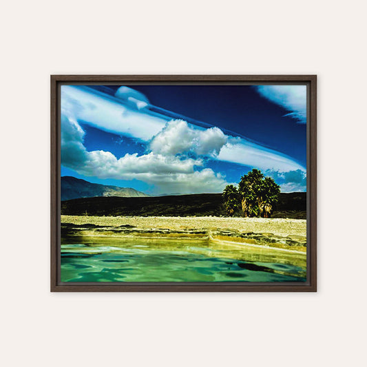 Desert Oasis Framed Print