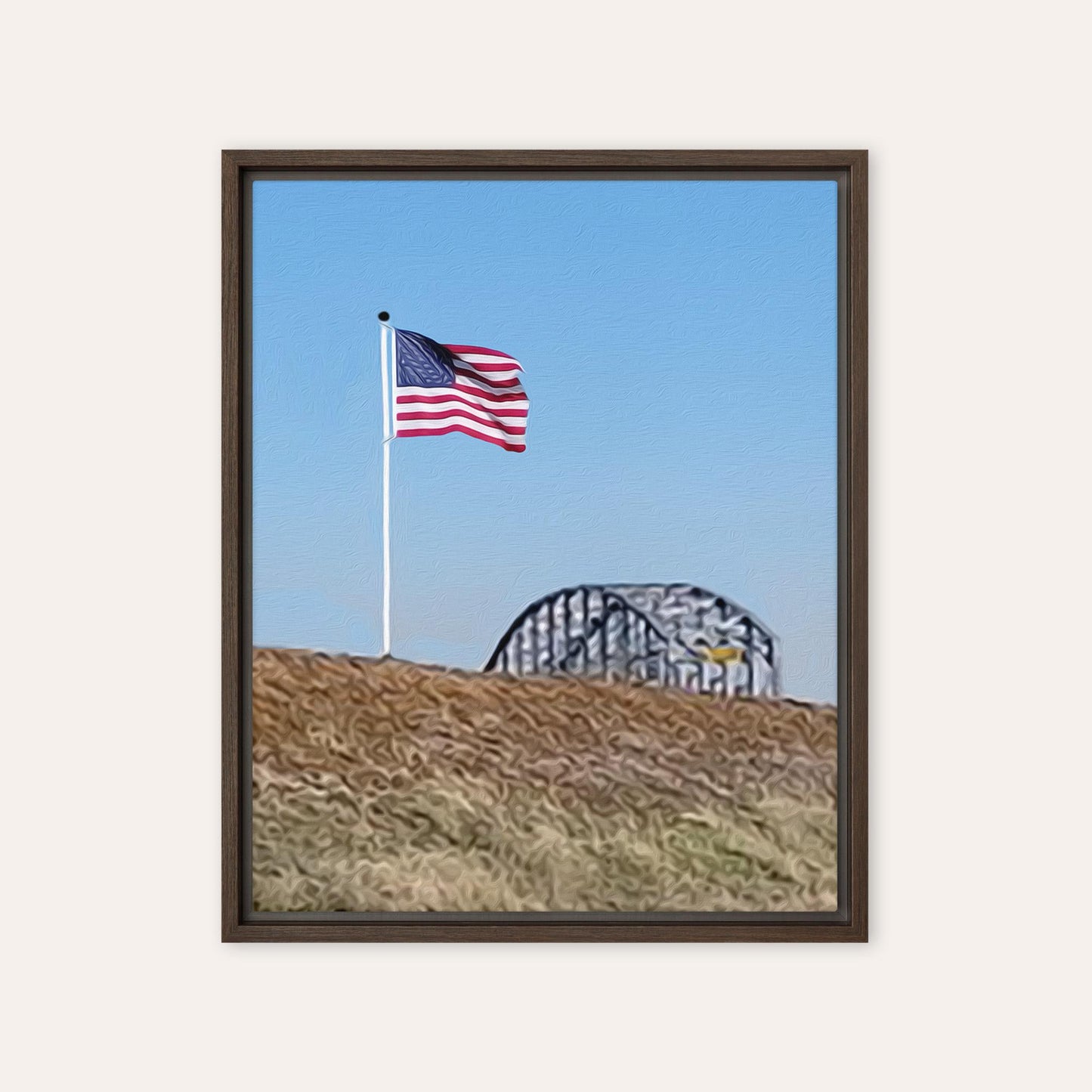 Flag by The Bridge Framed Print