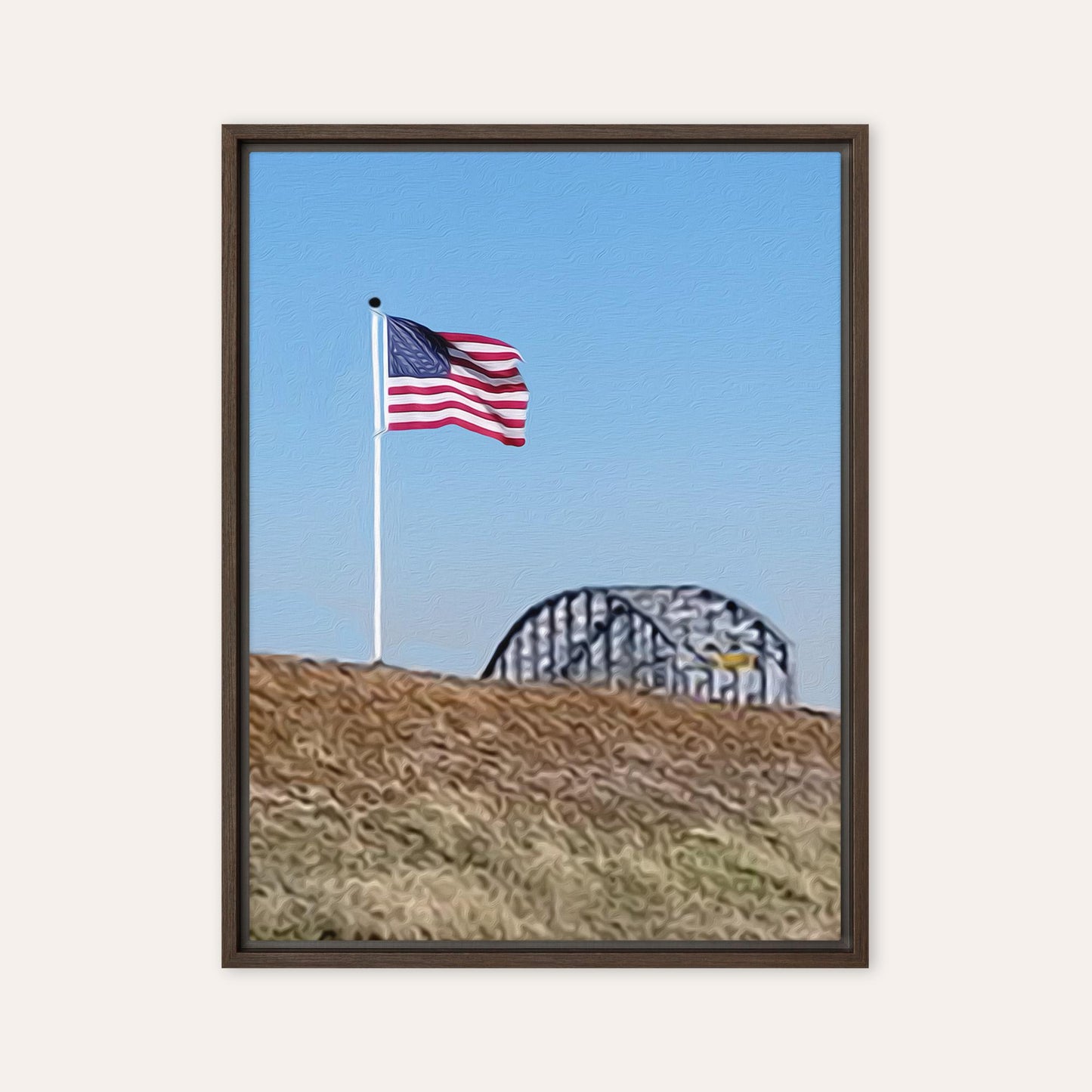 Flag by The Bridge Framed Print