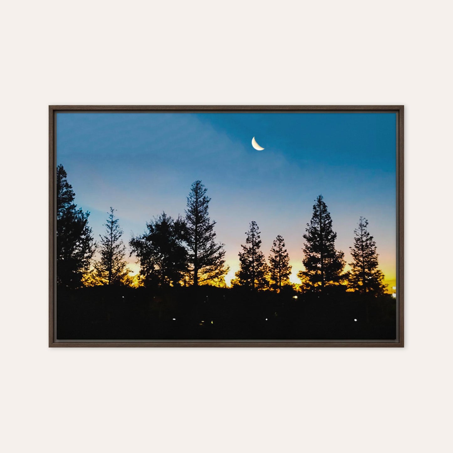 The Winter Moon Framed Print
