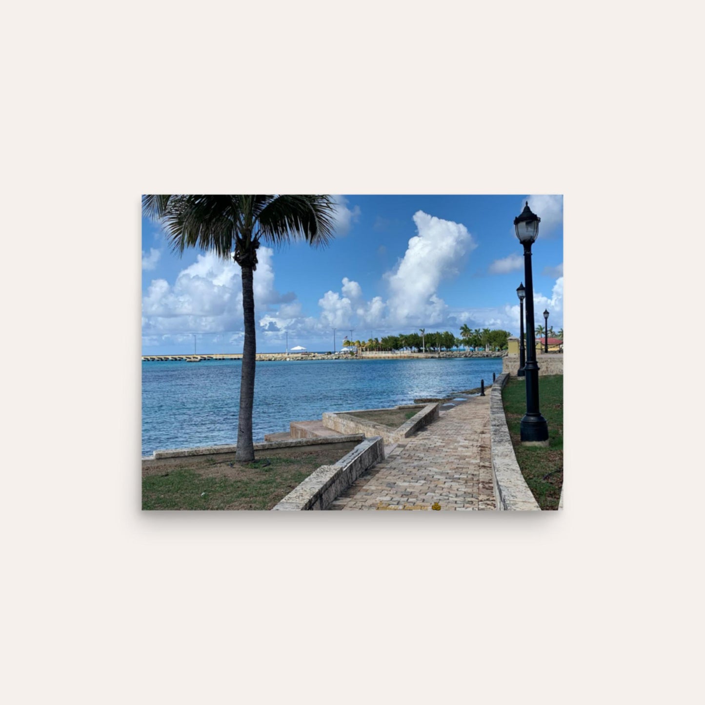 Island Life Photo Paper Poster