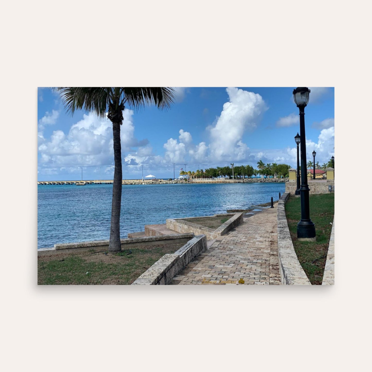 Island Life Photo Paper Poster
