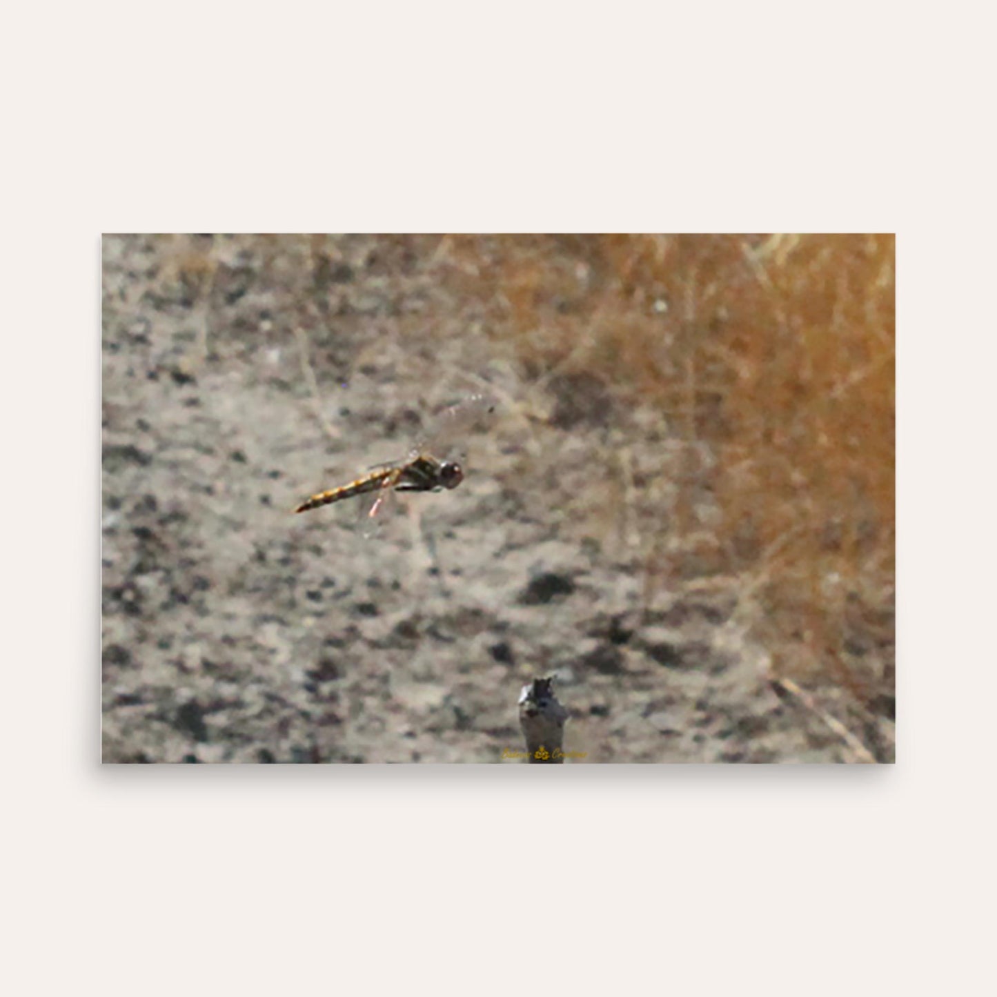 Landing Approach Photo Paper Poster