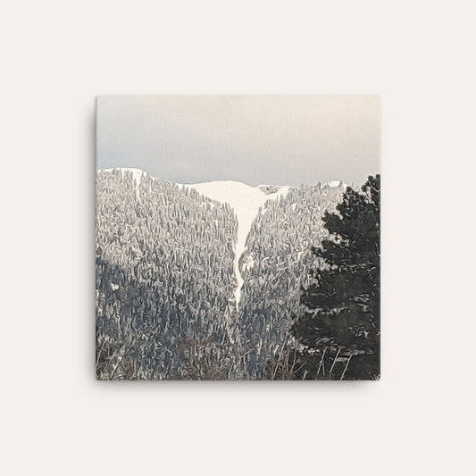 Snowy Waterfall Thin Print